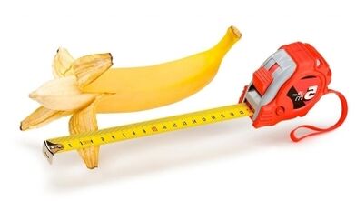 Die normale Penisgröße liegt zwischen 13 und 17 cm